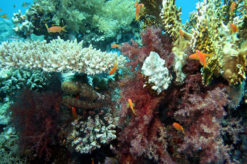 07 EG-02 249.JPG